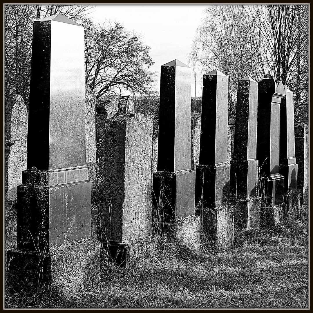 Jüdischer Friedhof Georgensgmünd 15