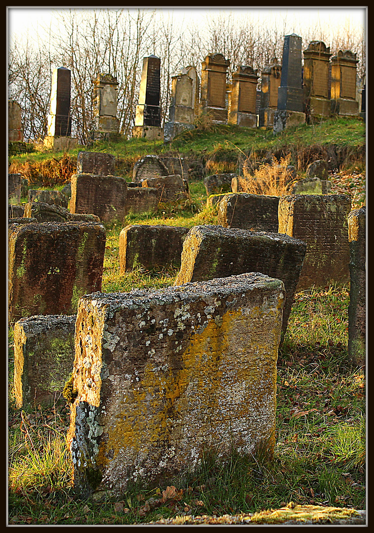 Jüdischer Friedhof Georgensgmünd 3