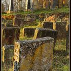 Jüdischer Friedhof Georgensgmünd 3