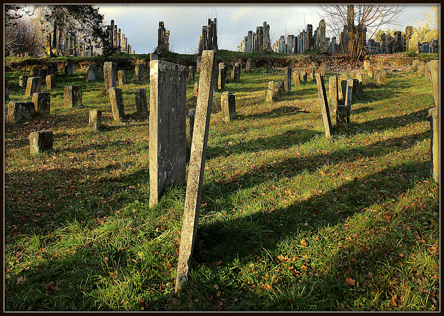 Jüdischer Friedhof Georgensgmünd 5