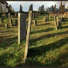 Jüdischer Friedhof Georgensgmünd 5