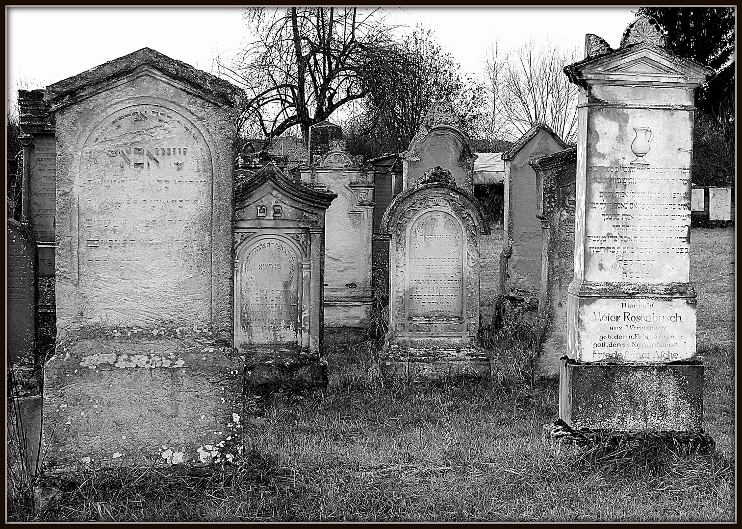 Jüdischer Friedhof Georgensgmünd 6