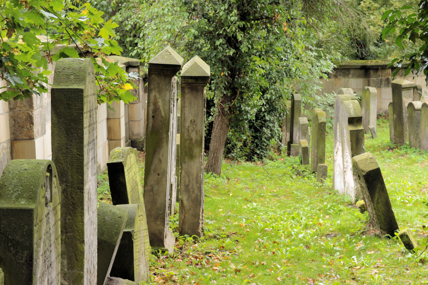 Jüdischer Friedhof Halberstadt