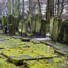 Jüdischer Friedhof Hamburg Altona