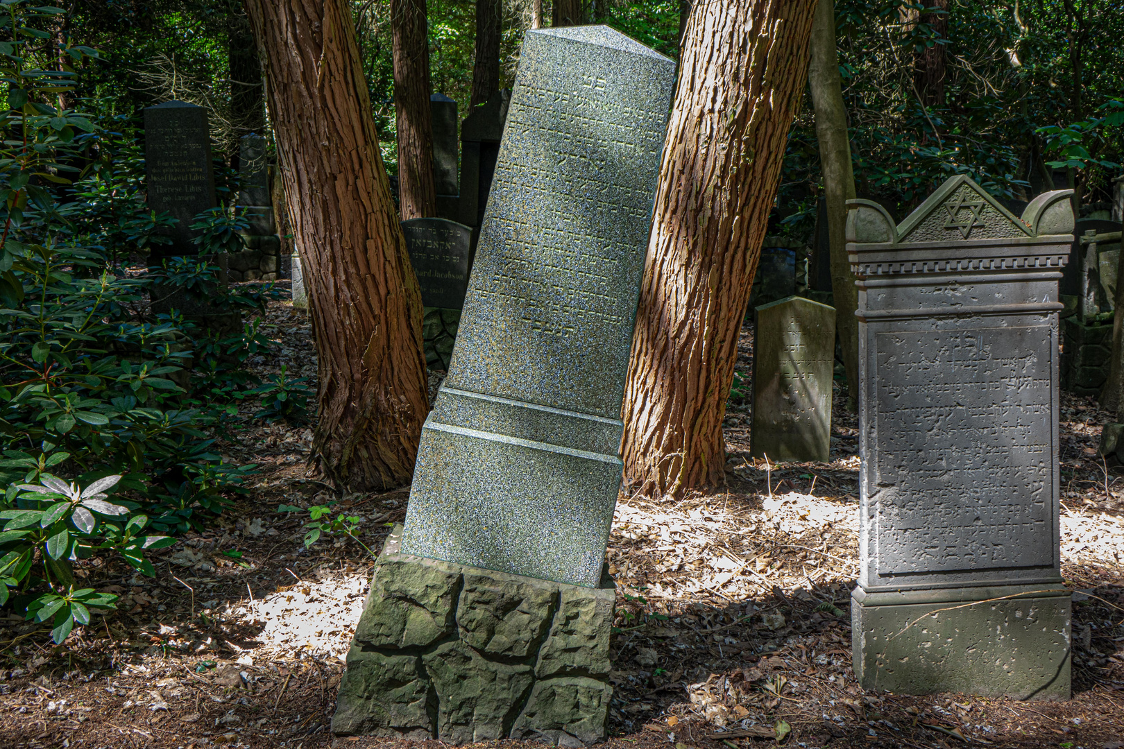 Jüdischer Friedhof Hamburg Ohlsdorf