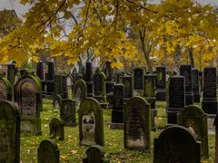 Jüdischer Friedhof - Hannover-Nordstadt