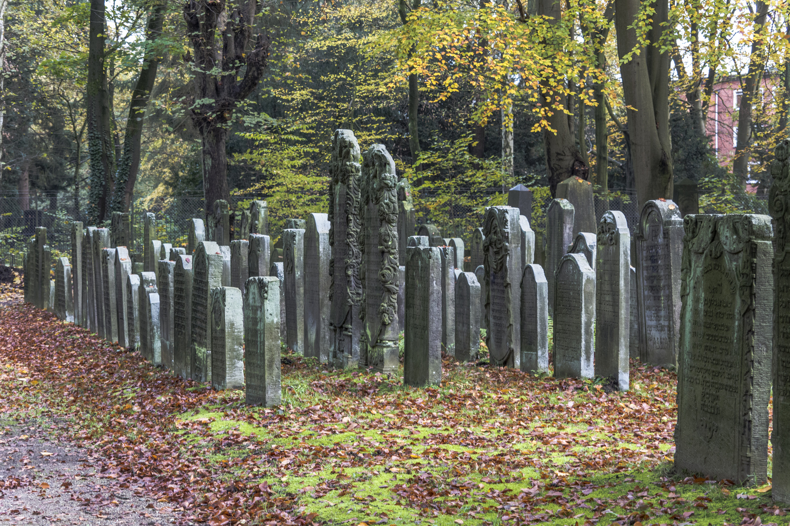 Jüdischer Friedhof / HH-Ohlsdorf (I)