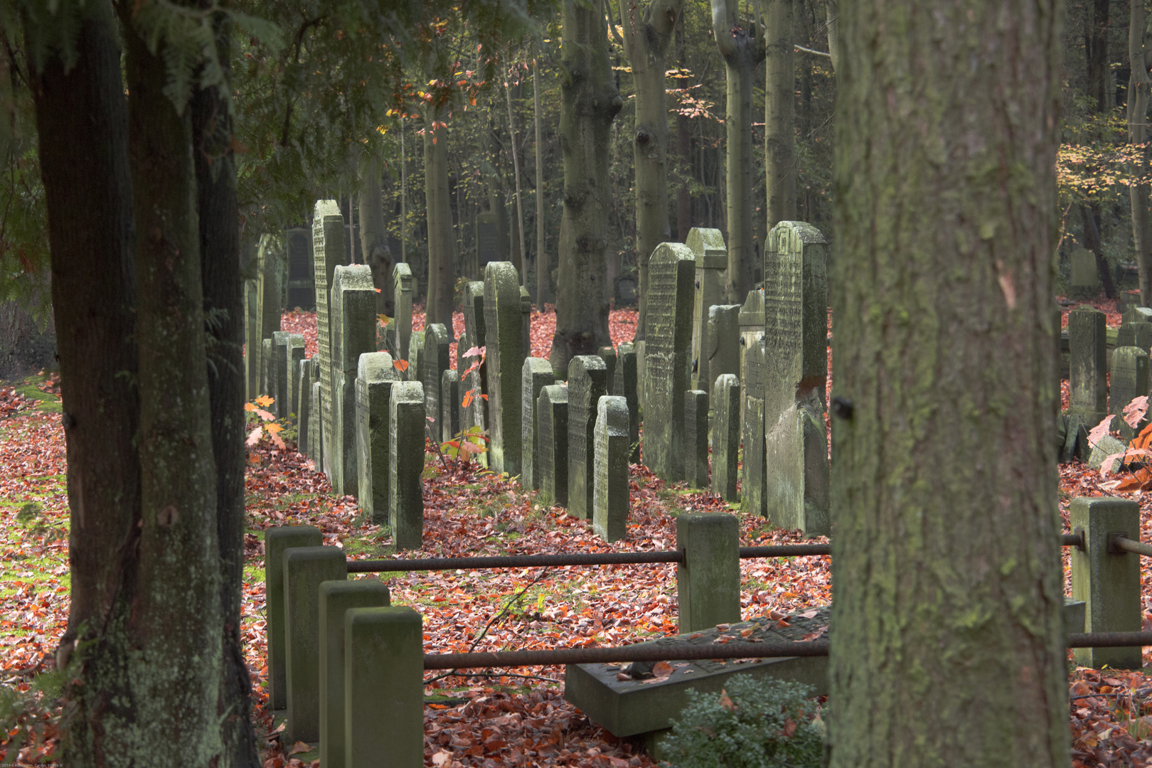 Jüdischer Friedhof / HH-Ohlsdorf (II)