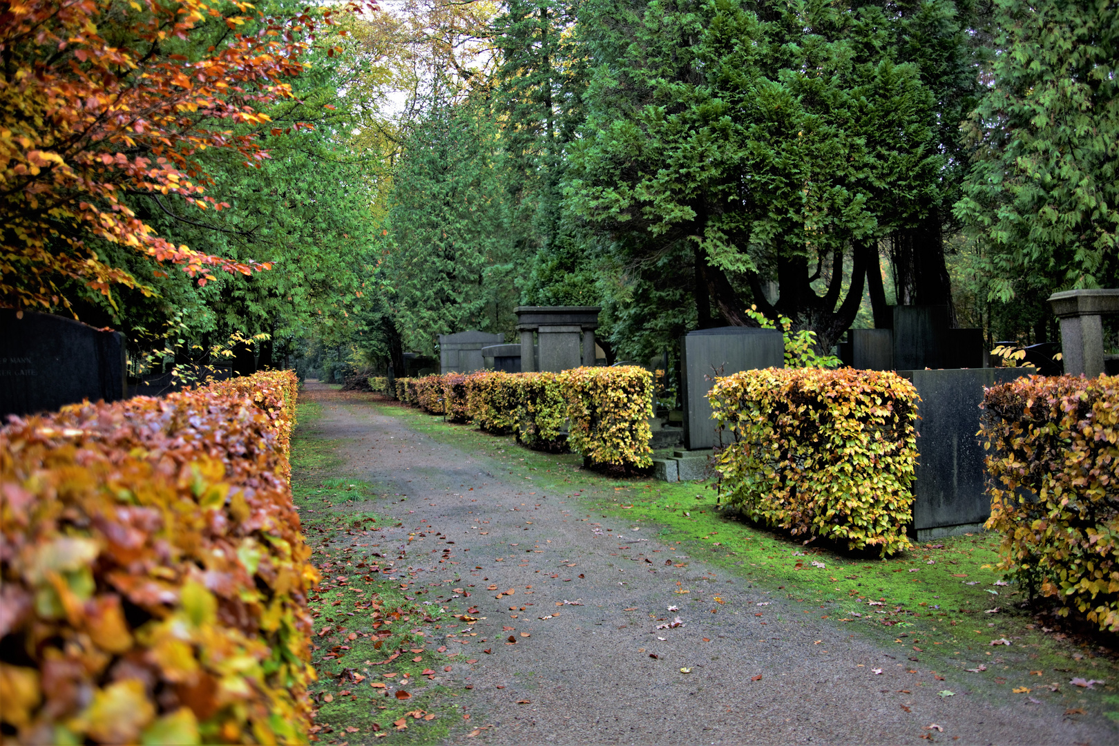 Jüdischer Friedhof / HH-Ohlsdorf (III)