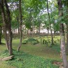 jüdischer Friedhof hier in Frankfurt/M