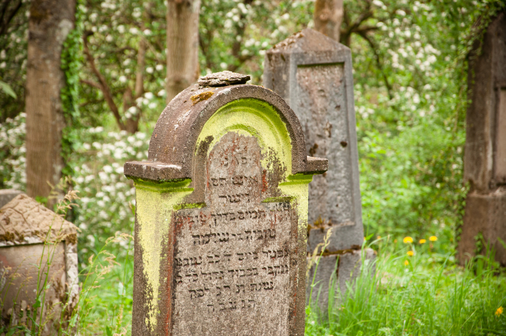 Jüdischer Friedhof II