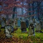 Jüdischer Friedhof im herbstlichen Kleid