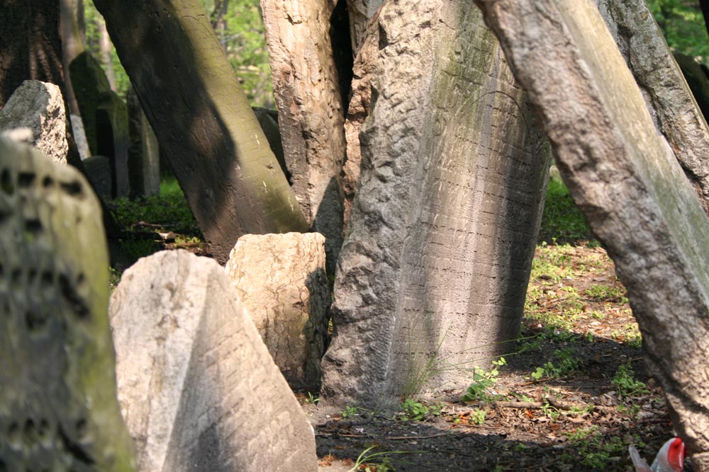 Jüdischer Friedhof im Schattenspiel