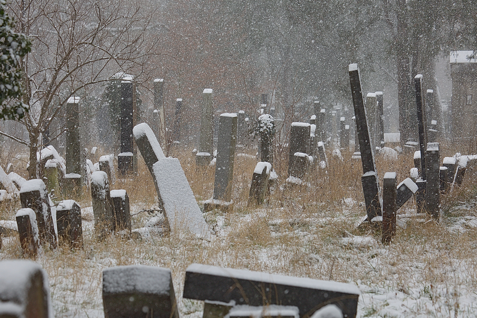 Jüdischer Friedhof im Schneetreiben