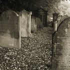 Jüdischer Friedhof in Bad Godesberg