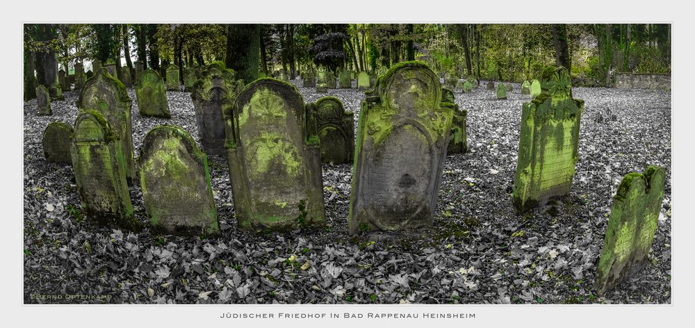 Jüdischer Friedhof in Bad Rappenau Heinsheim