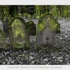 Jüdischer Friedhof in Bad Rappenau Heinsheim