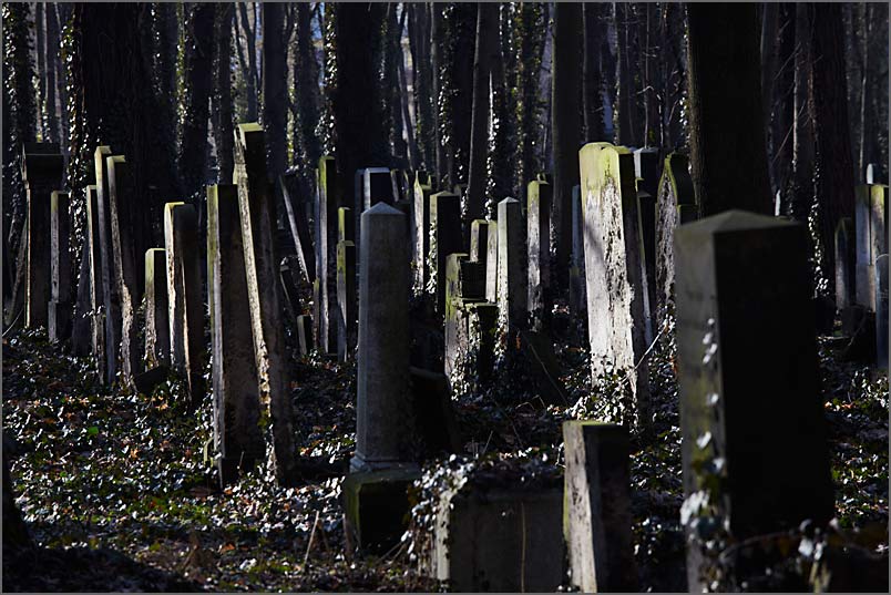 jüdischer friedhof in berlin