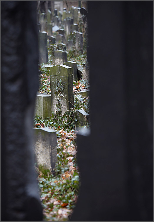 jüdischer friedhof in berlin2