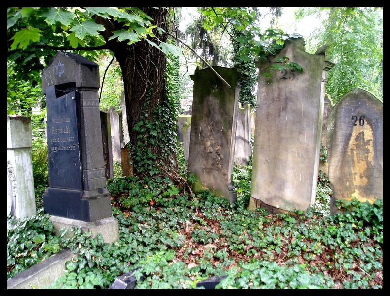 Jüdischer Friedhof in Breslau