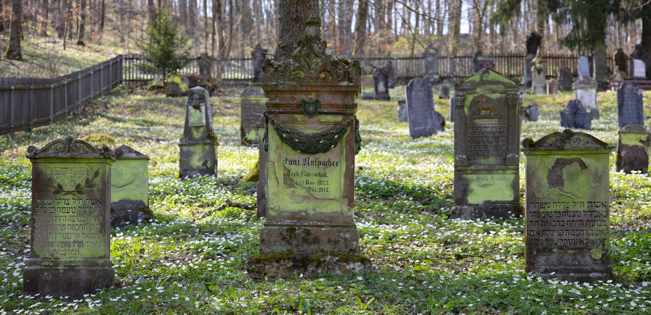 Jüdischer Friedhof in Buttenhausen