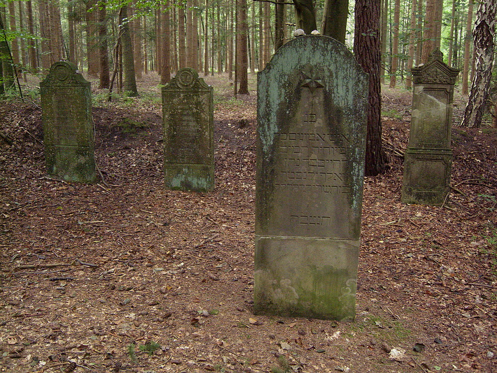 Jüdischer Friedhof in der Wingst