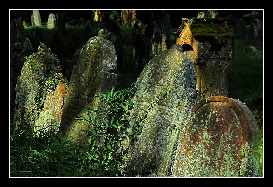 Jüdischer Friedhof in Essingen (2)