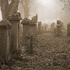 Jüdischer Friedhof in Essingen