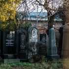 Jüdischer Friedhof in Floridsdorf (3)