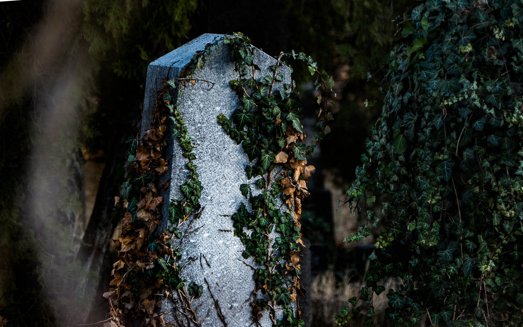 Jüdischer Friedhof in Floridsdorf (4)