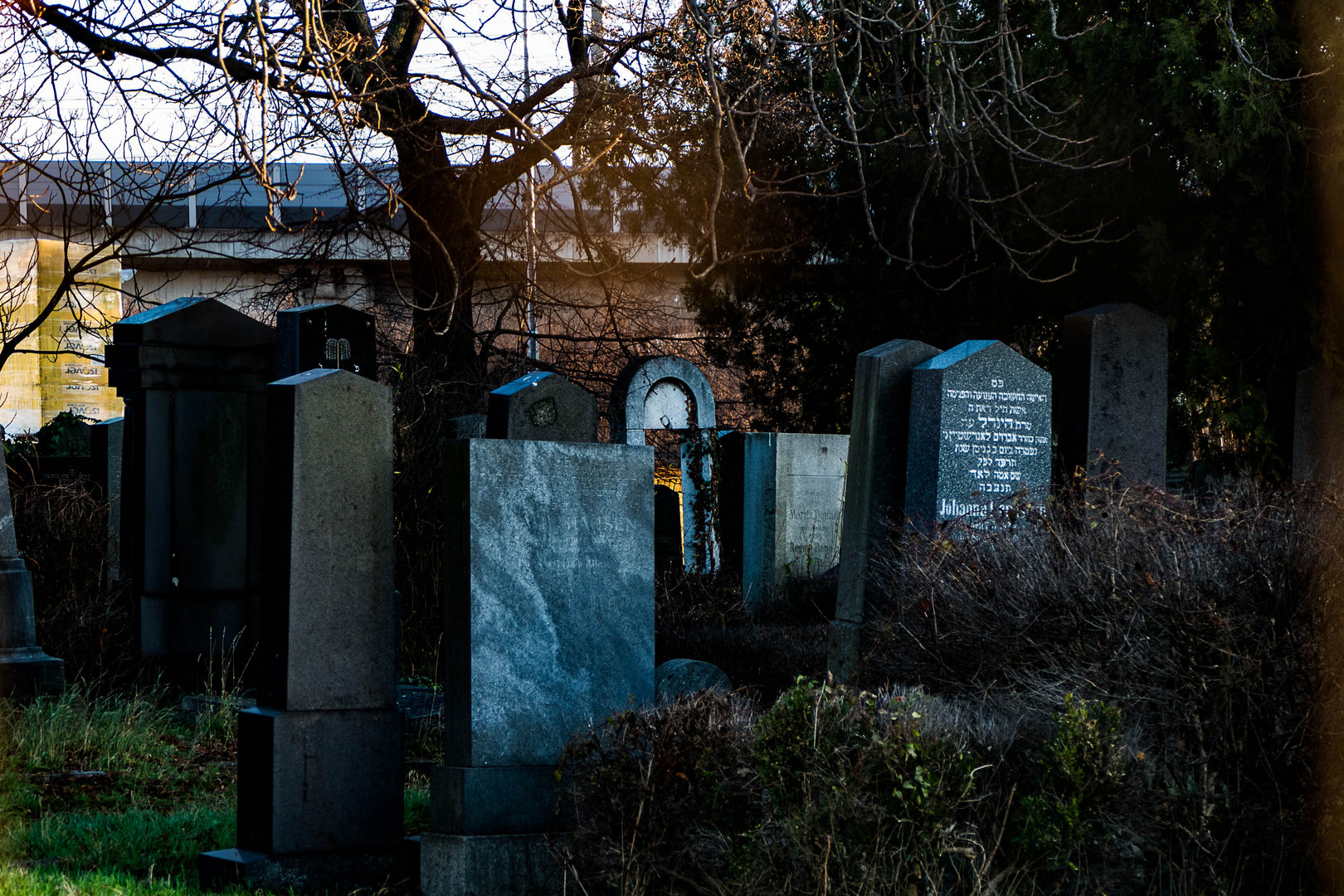 Jüdischer Friedhof in Floridsdorf (5) Ende  