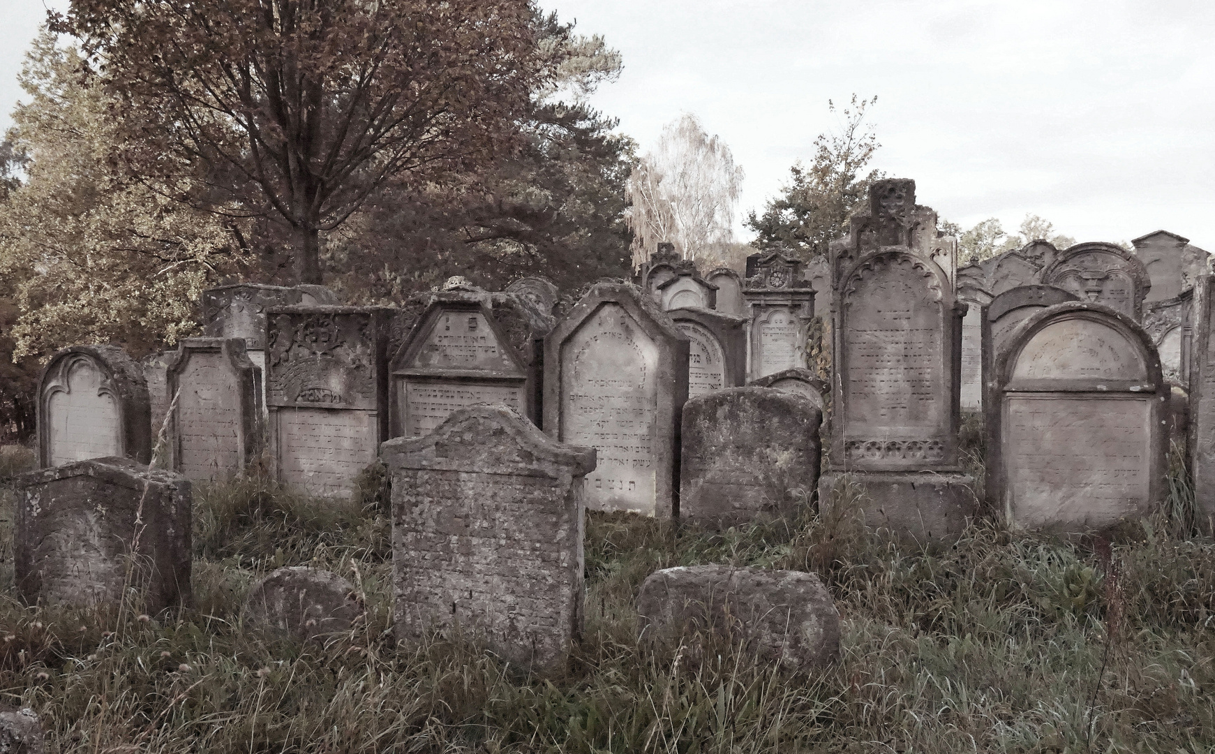 Jüdischer Friedhof in Georgensgmünd