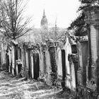 Jüdischer Friedhof in Georgensgmünd
