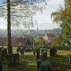 Jüdischer Friedhof in Georgensgmünd (Mittelfranken)