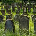 Jüdischer Friedhof in Haigerloch