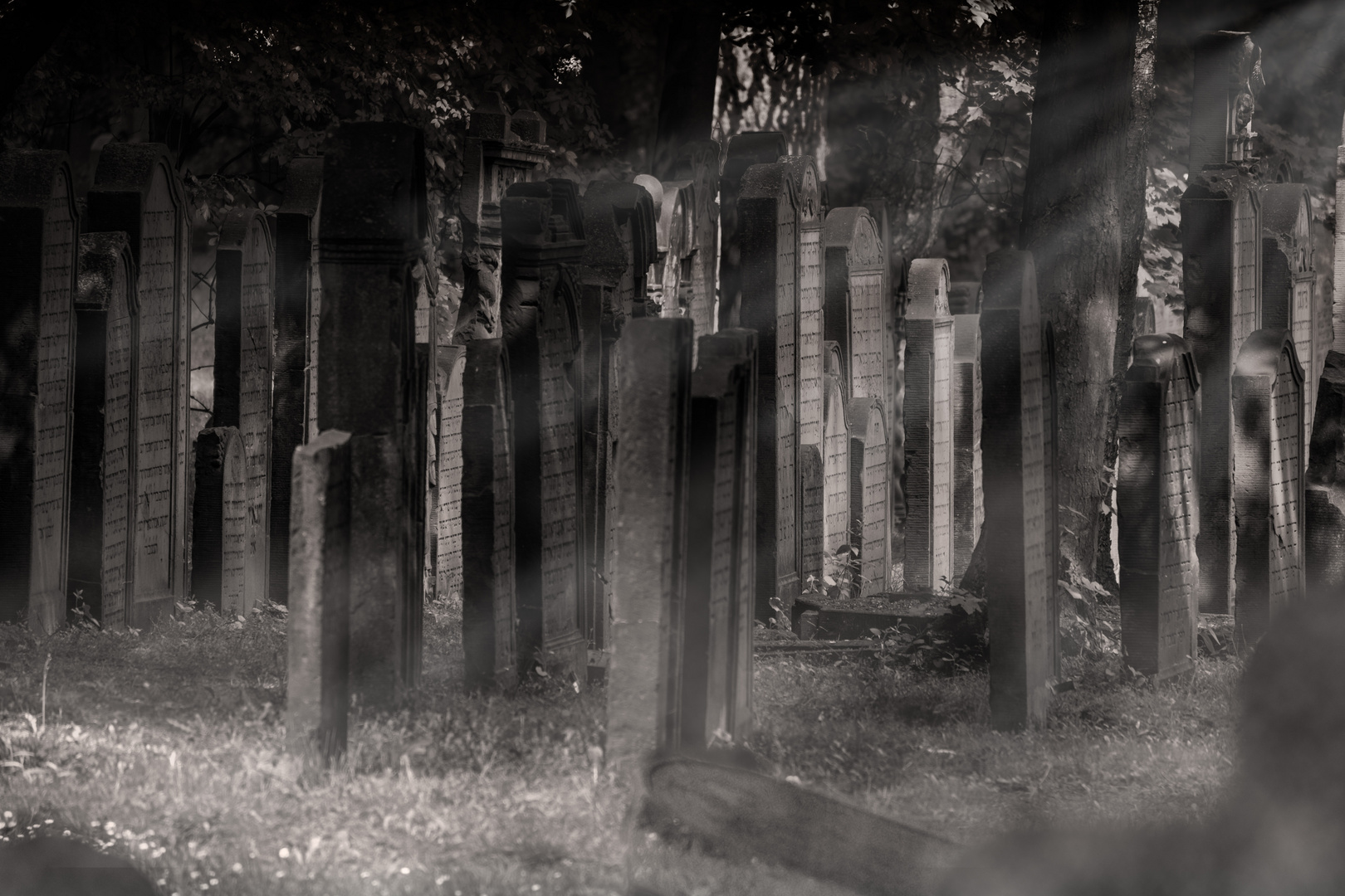 Jüdischer Friedhof in Hamburg Altona