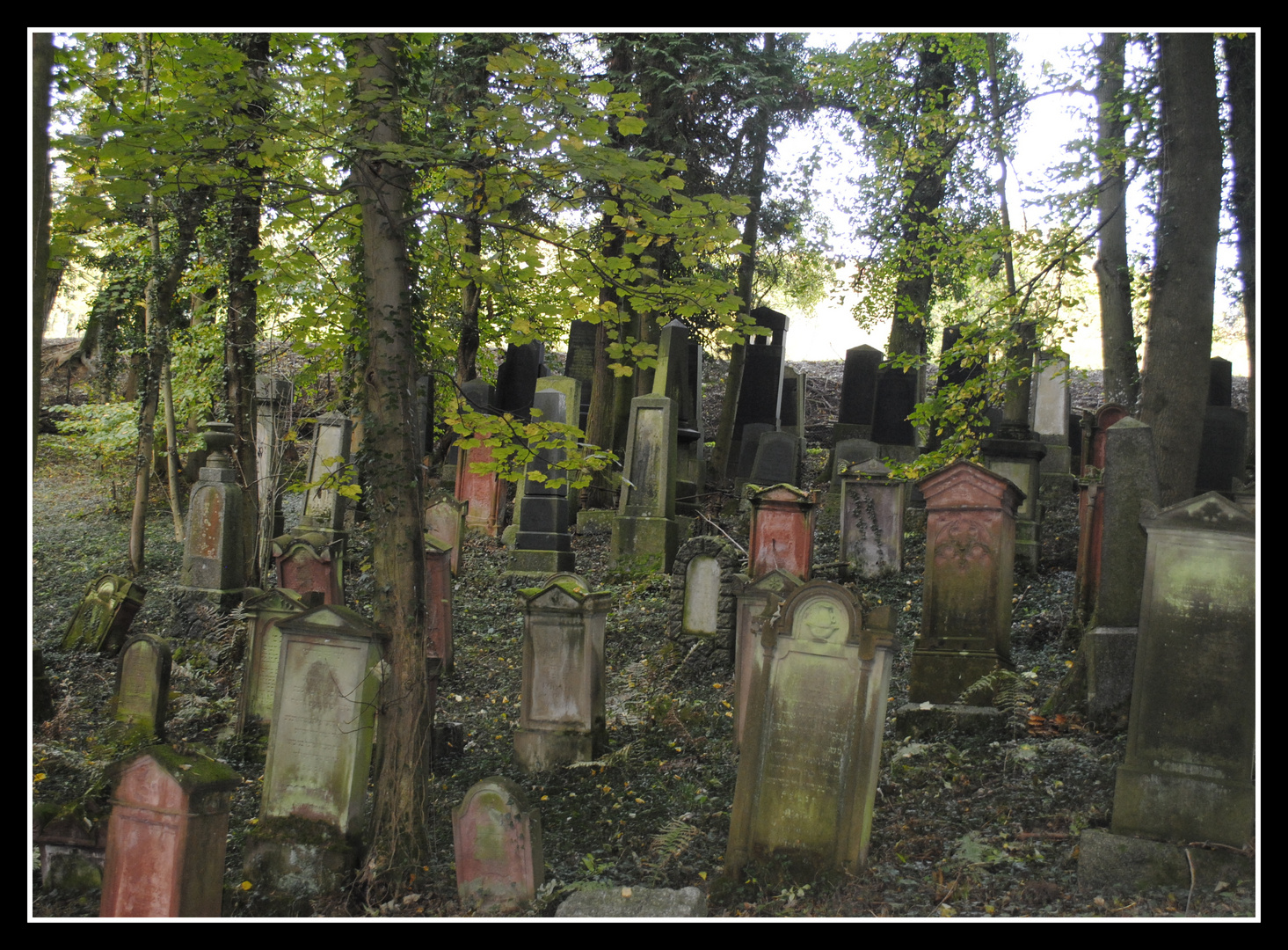 Jüdischer Friedhof in Hemsbach