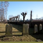 Jüdischer Friedhof in Jenfeld Hamburg