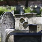 Jüdischer Friedhof in Krakau