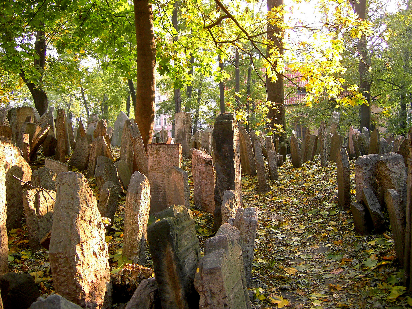 Jüdischer Friedhof in Prag (1)