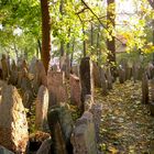 Jüdischer Friedhof in Prag (1)