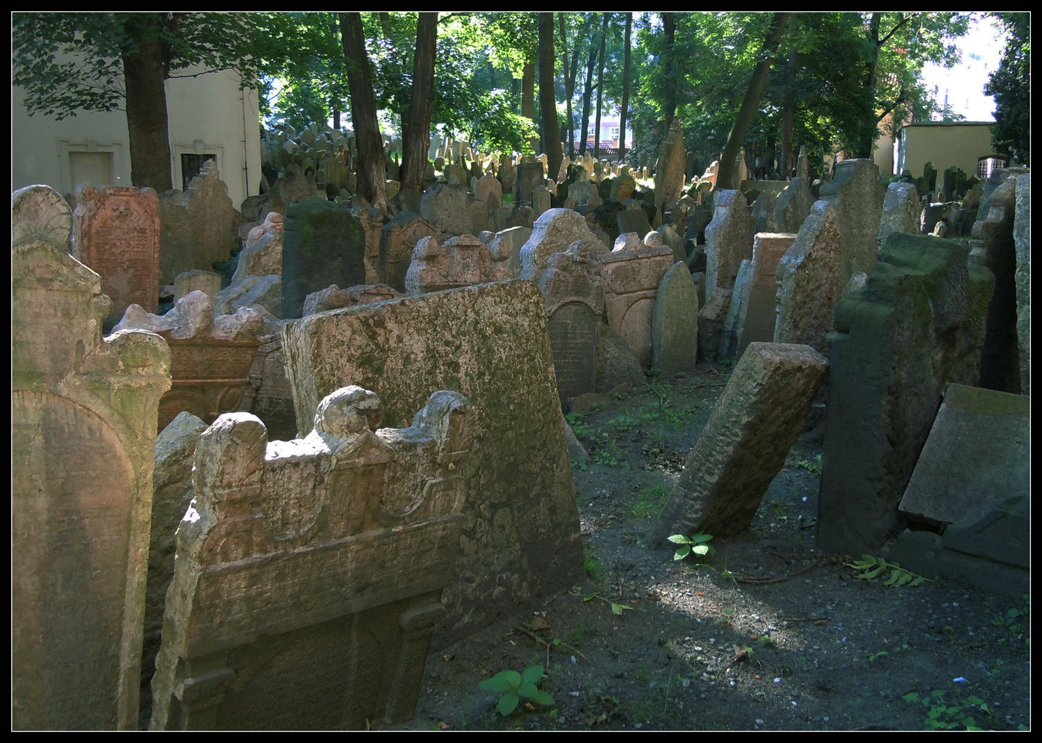 Jüdischer Friedhof in Prag