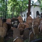 Jüdischer Friedhof in Prag