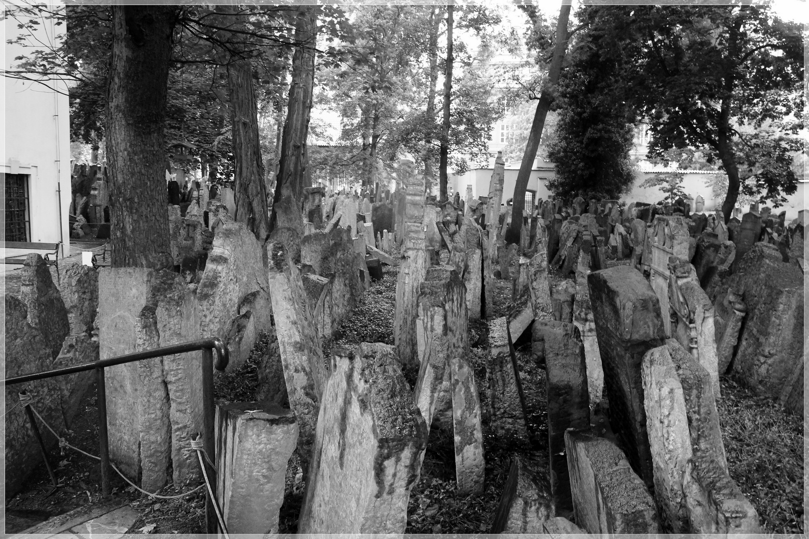 jüdischer Friedhof in Prag