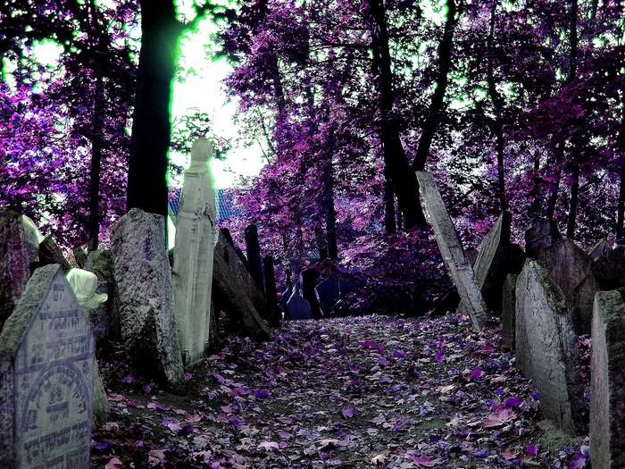 Jüdischer Friedhof in Prag