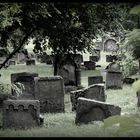 Jüdischer Friedhof in Worms