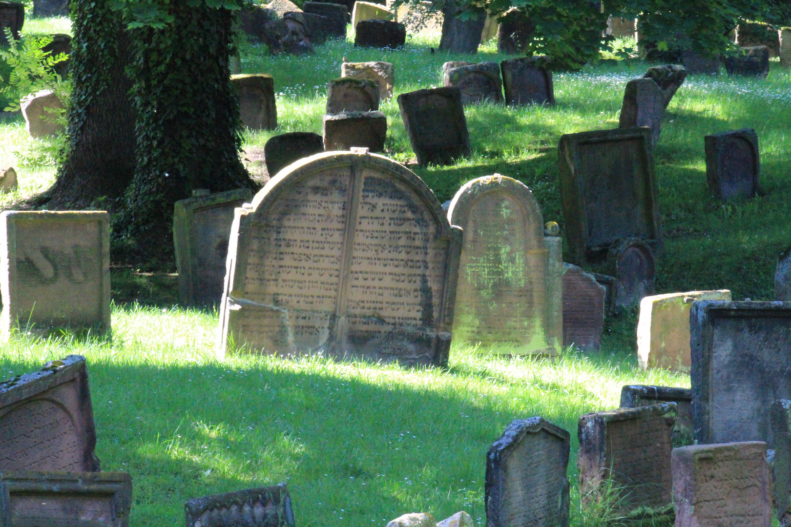 Jüdischer Friedhof in Worms