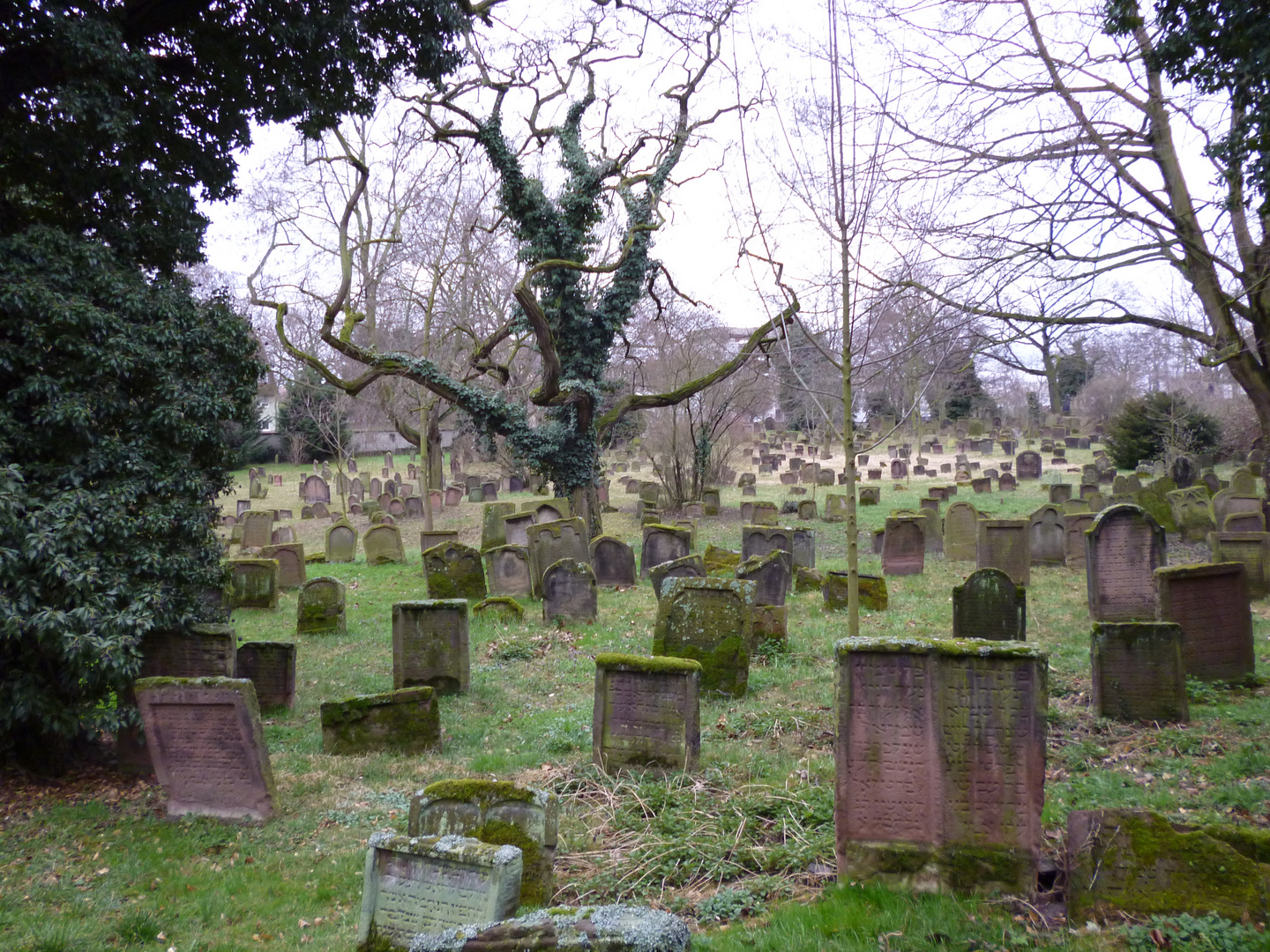 Jüdischer Friedhof in Worms