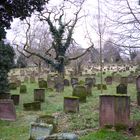 Jüdischer Friedhof in Worms