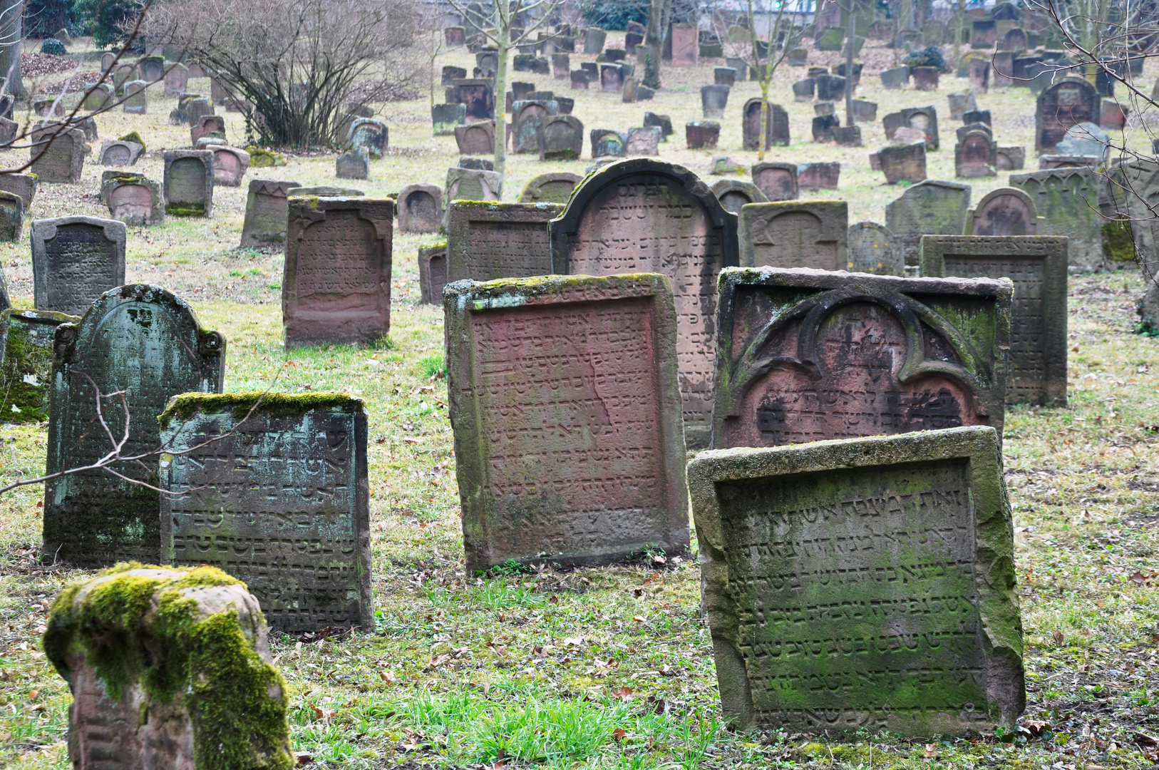 Jüdischer Friedhof in Worms